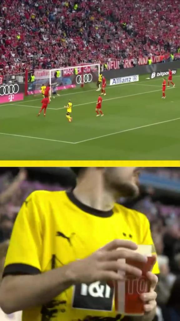 勇者無懼！這是真多特球迷！在拜仁球迷區一個人肆意慶祝！